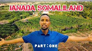 BEERAHA SOMALILAND #2024