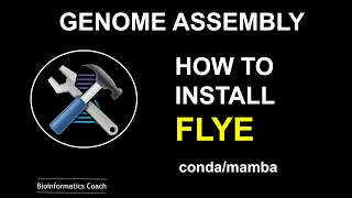 Flye  Assembler Installation  with Conda/mamba