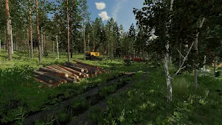 FS22 | Forestry on Karhuvaara | grinding stumps | EP07 S1