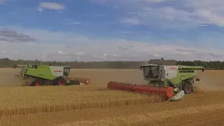 XXL HARVEST | 5x Claas Lexion 780TT & Lexion 770 | Rhea | DJI