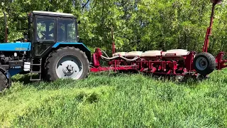 Сходи соняшнику 🚜🇺🇦No till