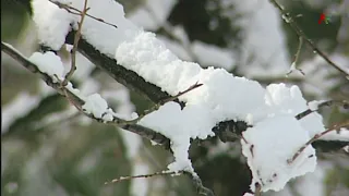 Абхазия в снегу 07.01.2022