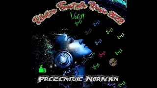 Electro Freestyle Music 2022 Vol 11 Set Compilated By Norman