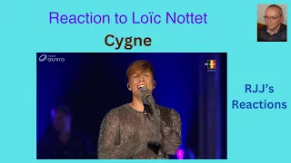 Reaction to Loïc Nottet - Cygne  (LIVE fête nationale)