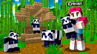 Ich BAUE ein PANDA GEHEGE in MINECRAFT! 😍