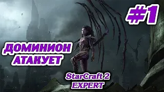 ДОМИНИОН АТАКУЕТ #1 STARCRAFT 2 ЗЕРГИ - ЭКСПЕРТ