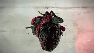 CARCASS - Torn Arteries OUT NOW (OFFICIAL TRAILER)