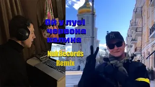 Ой у лузі червона калина (NukRecords Remix)