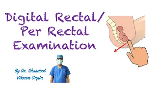 How to perform Digital Rectal / Per Rectal Examination? MBBS/Medical Students