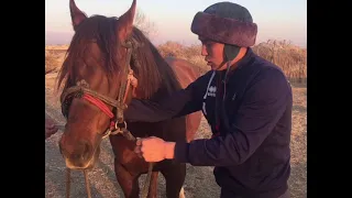 Атқа міну мәдениеті🐎