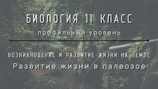 Биология 11 кл Теремов §28 Развитие жизни в палеозое