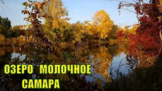 Краски осени. 🍁Дача. Молочное озеро. 🦋 Волгаренок Самара. Сухая Самарка