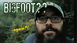 Bigfoot? in North Georgia 2