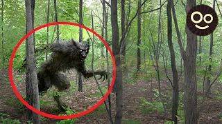 8 HOMBRES LOBO Reales Captados en Video y VISTOS en la Vida REAL