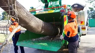 Amazing Wood Chipper Machines Working, Fastest Monster Stump Removal Excavator