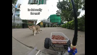 FPV RC Car Feeds Stray Cats on a Trailer - Part 2