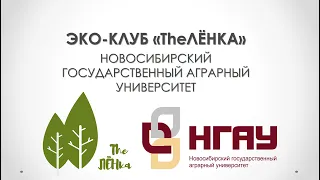 "Сортировка отходов и осознанное потребление: не так страшен мусор, как его малюют"