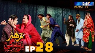 Zahar Zindagi - Ep 28 | Sindh TV Soap Serial | SindhTVHD Drama