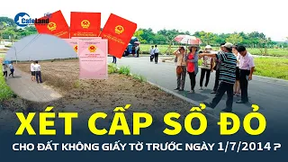 Luật Đất đai sửa đổi: ĐẤT KHÔNG GIẤY TỜ trước ngày 1/7/2014 được xét CẤP SỔ ĐỎ | CafeLand