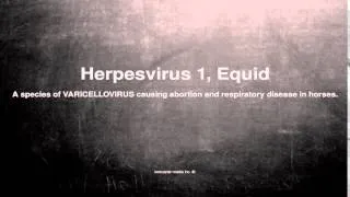 Medical vocabulary: What does Herpesvirus 1, Equid mean