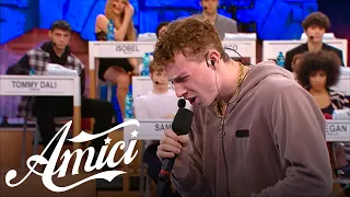 Amici 22 - WAX - Tous les memes