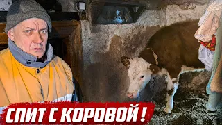 Осторожно! Может стошнить от увиденного! | Оренбургская обл, Асекеевский район, с.Заглядино