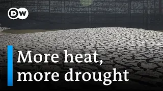Report: One in four people globally face extreme water scarcity I DW News