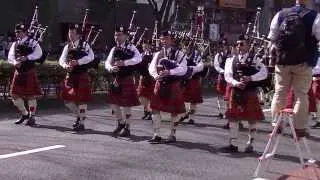 St. Patrick's Day Parade Tokyo 2014 Part1