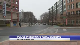 Police investigate Silver Spring Stabbing that left one person dead
