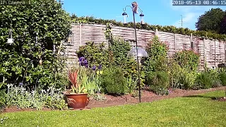 Jumping Squirrel beats baffle