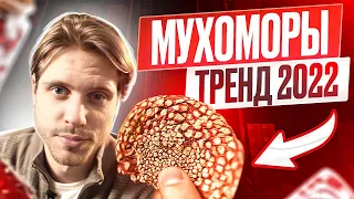 МИКРОДОЗИНГ МУХОМОРОВ - тренд 2022 | Токсичны или полезны?