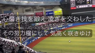 オリックス　茶野篤政　応援歌(歌詞付き)