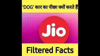 'DOG' कार का पीछ क्यों करते हैं ?FACT TALK ep.27 #shorts #shortvideo #viralvideo