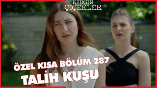 Kırgın Çiçekler Özel Kısa Bölümler | 287