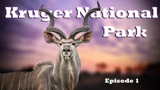 Satara Trip | Kruger National Park |  Episode 1