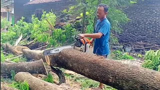 The process of cutting wood with a chainsaw into various sizes