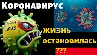 Актуальные события - Коронавирус рядом с домом в Германии! Мои животные, кролики последние новости.