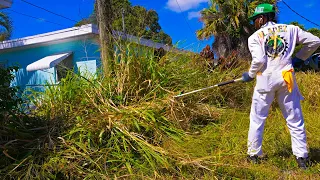 NEIGHBORS Couldn't Believe IT! OVERGROWN Neglected DEALERSHIP! I Cleaned It FOR FREE!