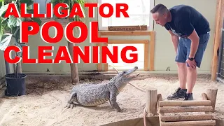 How I Clean The Alligator Pool!!!