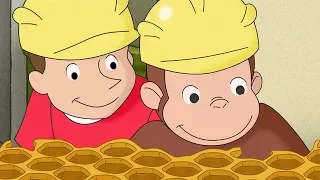 Jorge el Curioso | Un Mono Apicultor | Dibujos animados para niños | WildBrain Videos For Kids