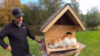 Утепленный дом для котов своими руками из остатков стройматериала