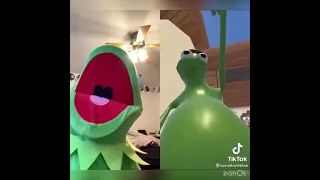 Kermitontiktok Compilation