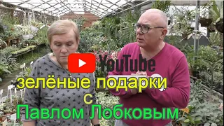Зелёные подарки с Павлом Лобковым.