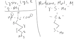 Amino Acid Structure Memorization Tips