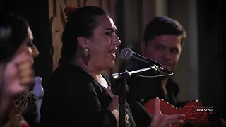Flamenco en Granada | Agosto 2021 | Espectáculo del tablao : Maria del mar Fernandez y David Moreira