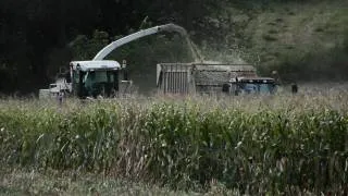 Corn harvesting in Lancaster PA with a Claas jaguar 850 (4 Sep 2010)