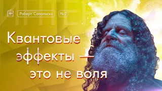 Роберт Сапольски. Квантовые эффекты — это не воля. [Vert Dider] 2/6