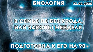 Биология: В семье не без урода, или законы Менделя