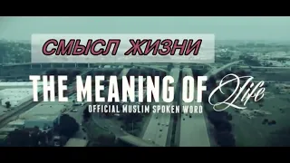 The Meaning of Life. Kamal Saleh. В чем смысл жизни. Камал Салех.