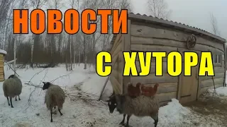 ЗЕРНО, ОКОТ, ДРОВА, СЕНО // ЖИВЕМ НА СВОЕЙ ЗЕМЛЕ